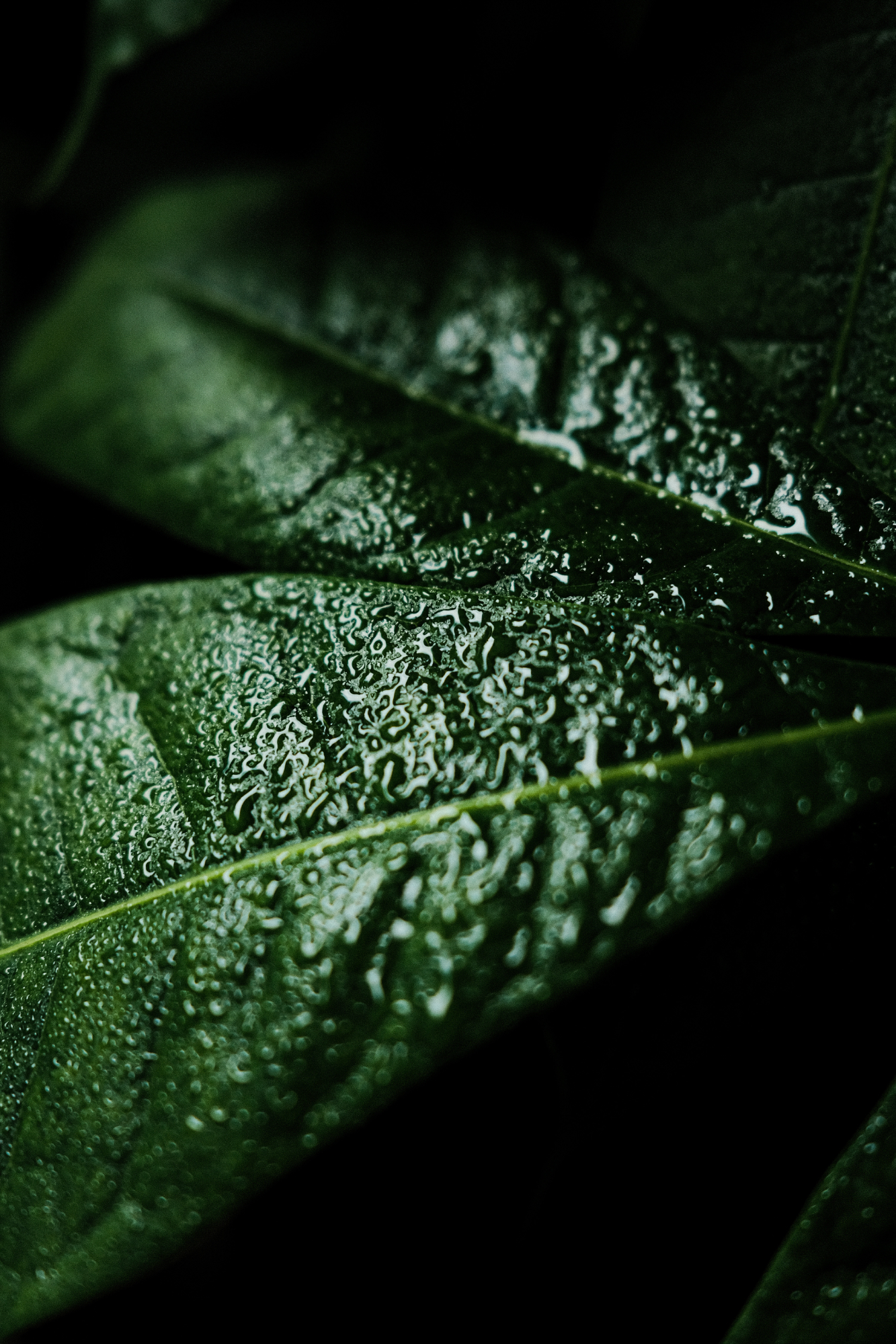  Lino Albrechtsen - linoalbrechtsen.de