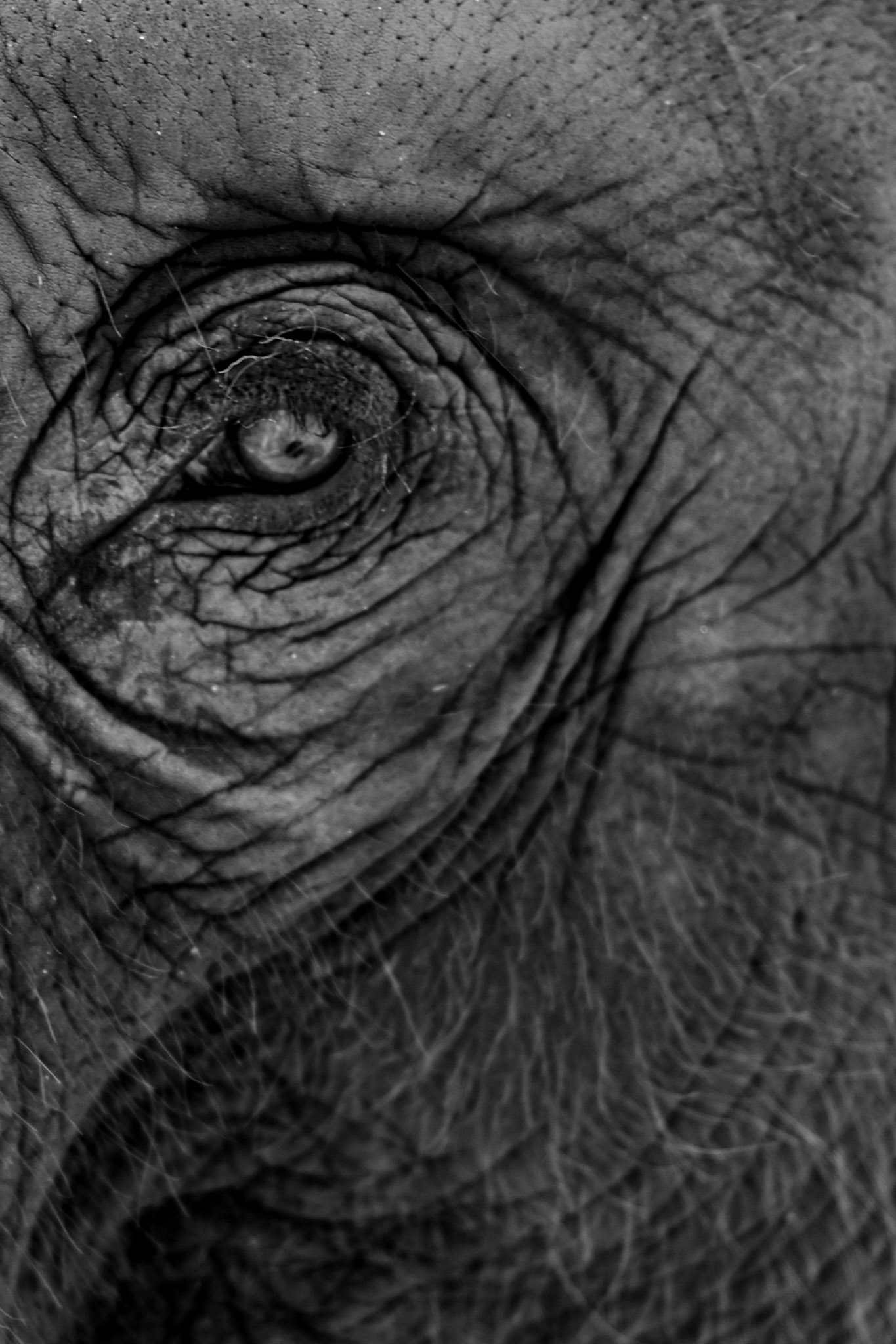  Lino Albrechtsen - linoalbrechtsen.de