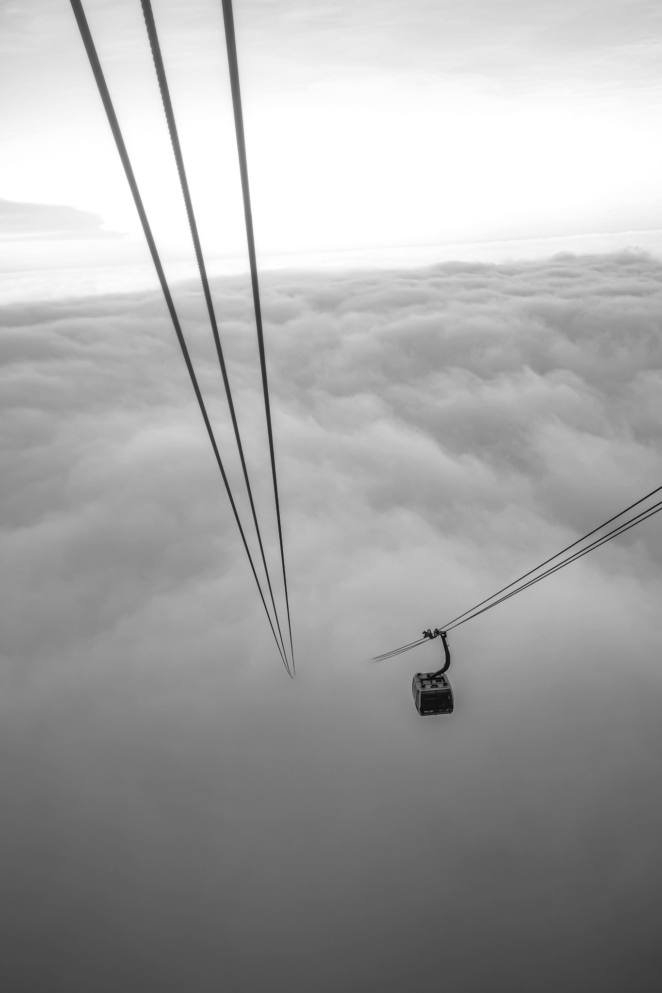  Lino Albrechtsen - linoalbrechtsen.de