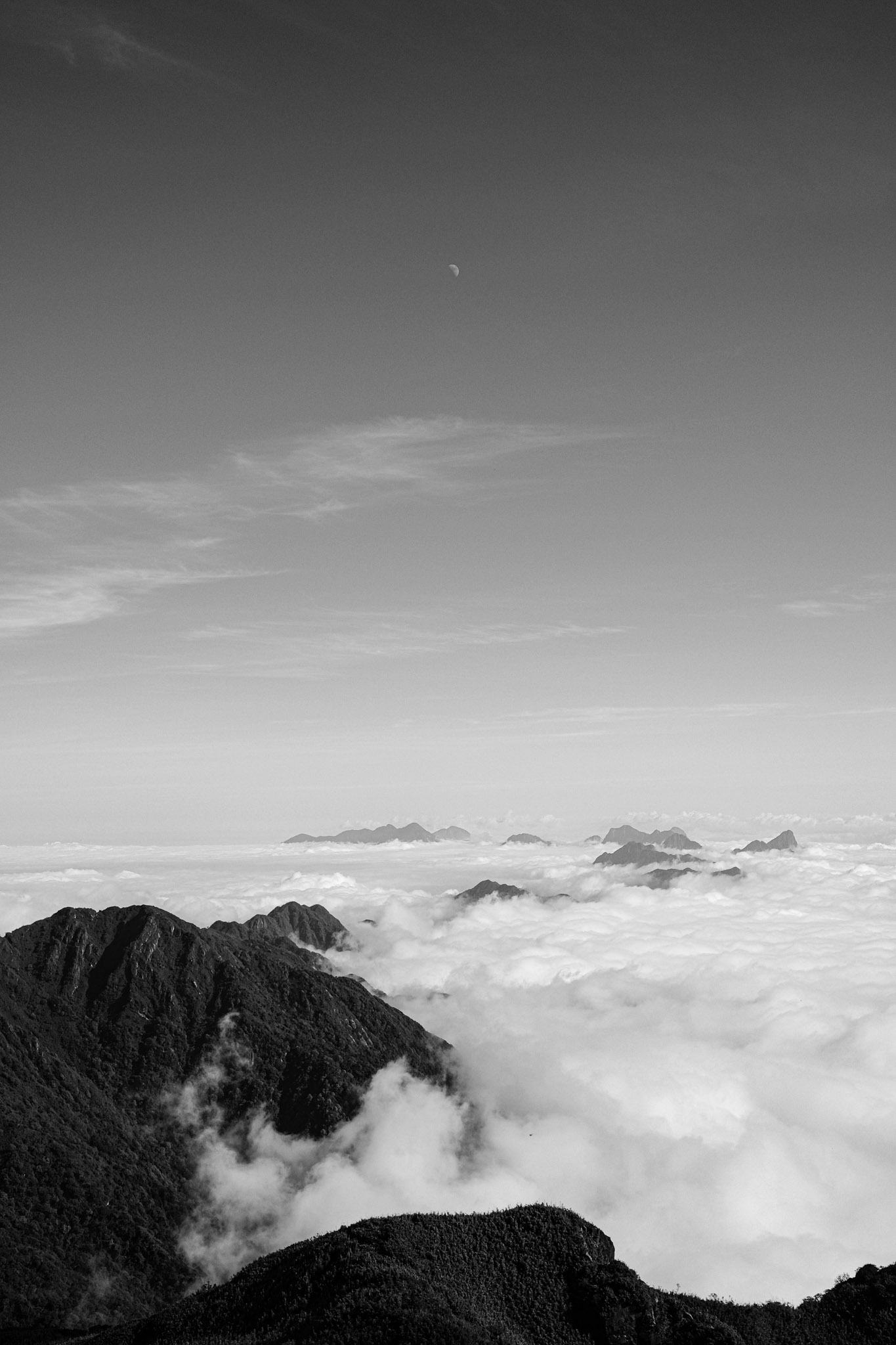  Lino Albrechtsen - linoalbrechtsen.de