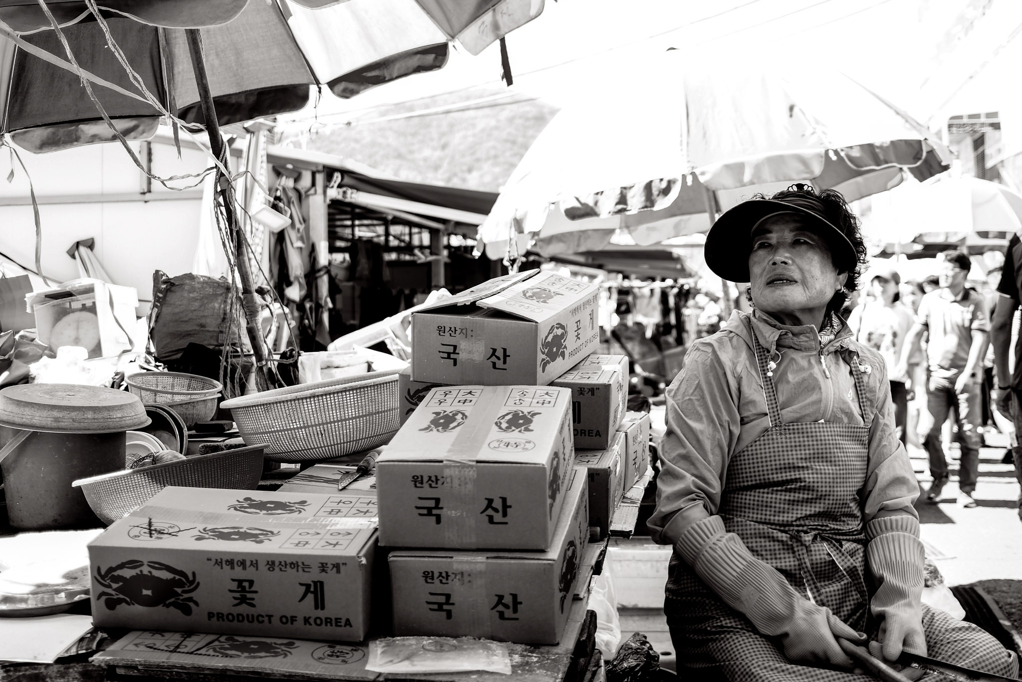  Lino Albrechtsen - linoalbrechtsen.de