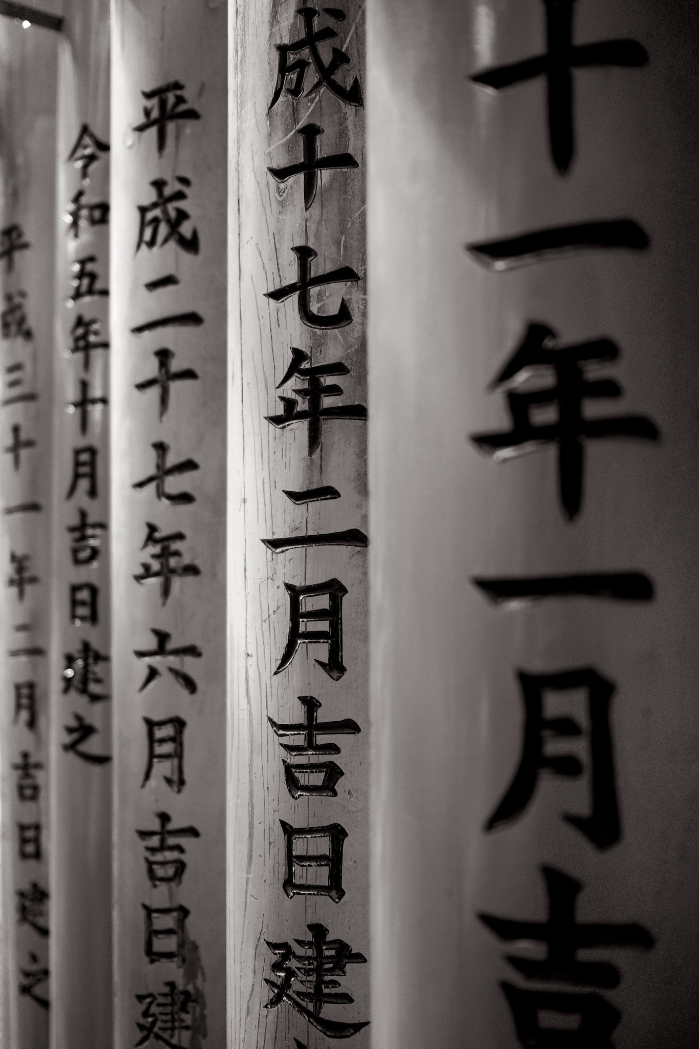  Lino Albrechtsen - linoalbrechtsen.de