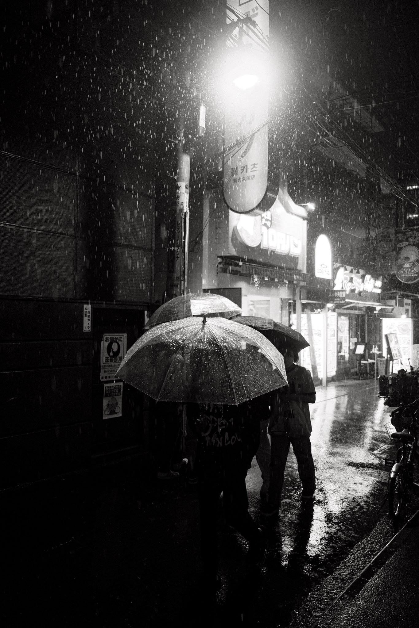  Lino Albrechtsen - linoalbrechtsen.de